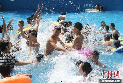 娱乐吃瓜冲浪社,揭秘娱乐圈幕后故事，带你畅游八卦海洋