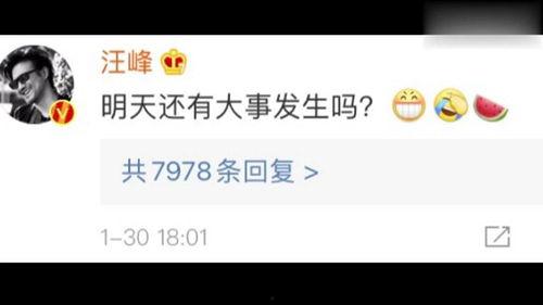 娱乐吃瓜而已百度云,揭秘娱乐圈幕后故事