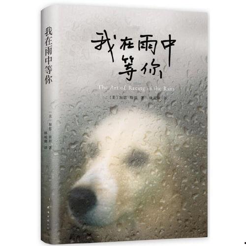我在雨中等你图片,等待你的浪漫时光